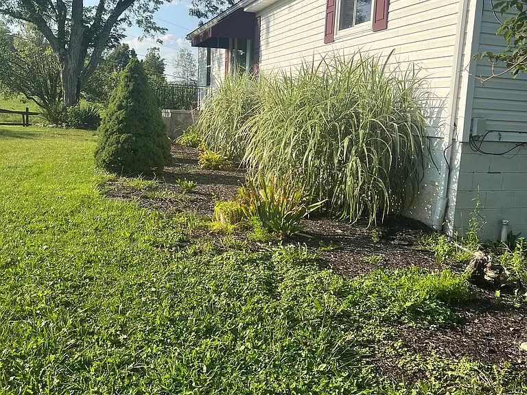 1496 Locke Mountain Rd — Photo 11