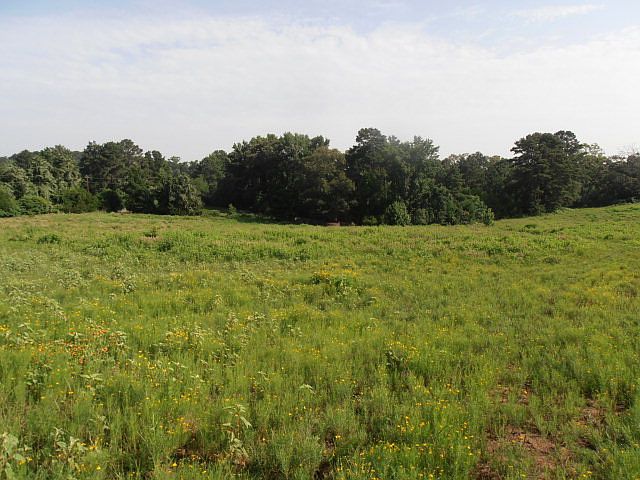 1st image of 1099 An County Road 137