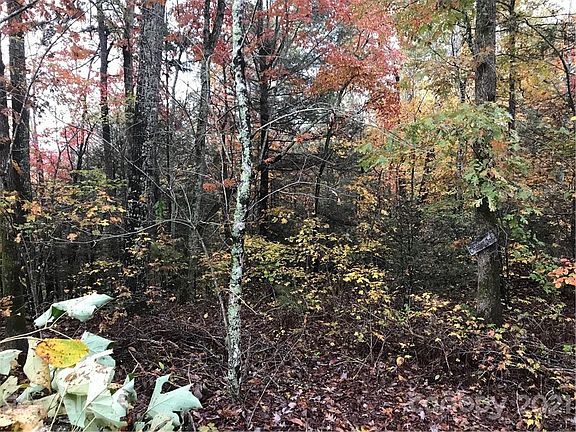 4th image of LOT 13 Echo Ln S