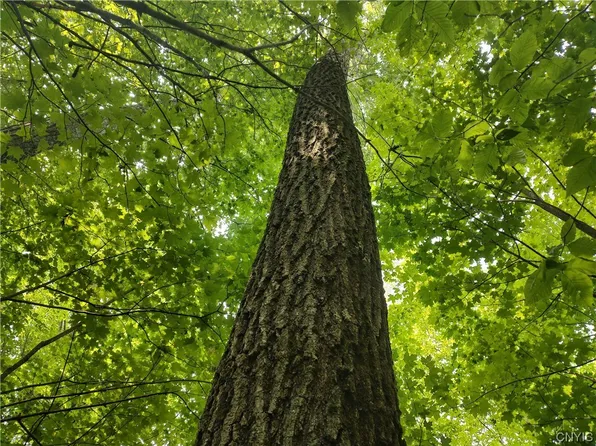 0 Cornell Hollow Rd #N/o, Endicott, NY 13760