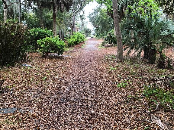 Path to beach