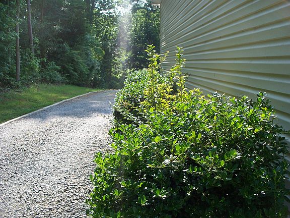side driveway