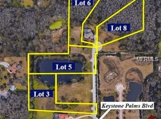 174 Keystone Palms Blvd, Tarpon Springs, FL 34688