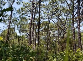 511 Fort Tensas Pl, Dauphin Island, AL 36528