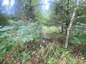 2nd image of Lot 6&7 Dade 56