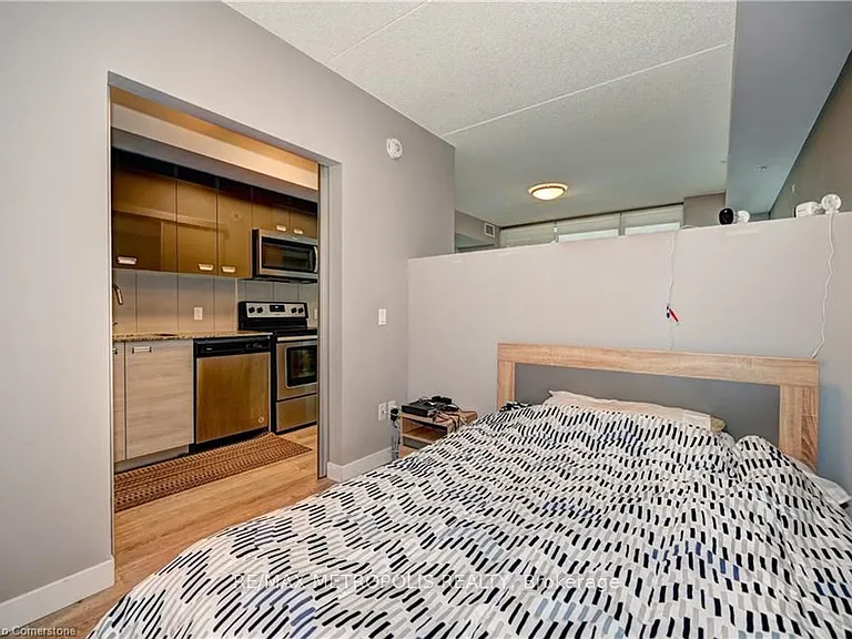 250 Albert St #202 — Photo 4