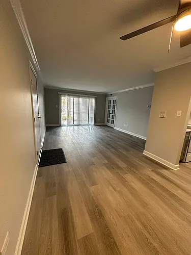 6109 Knoll Wood Rd #101 Photo 1