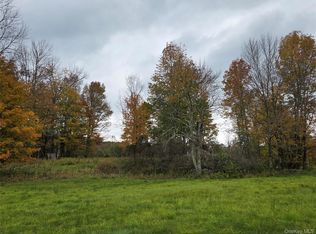 Lot #21 Herbert Road, Fremont Center, NY 12736