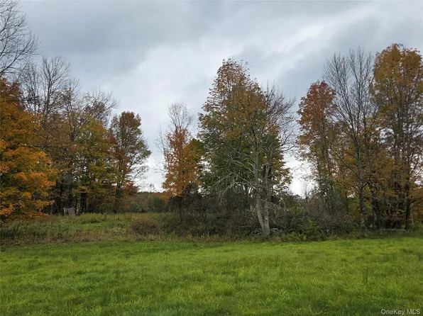 Lot #21 Herbert Road, Fremont Center, NY 12736