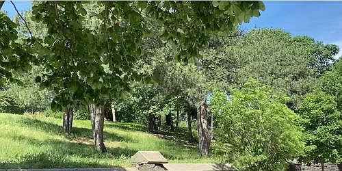 Rented by Brooklyn Properties