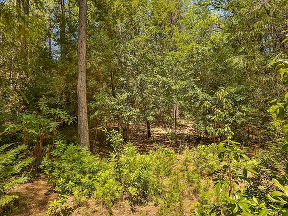 5th image of 3266 Holiday Ln