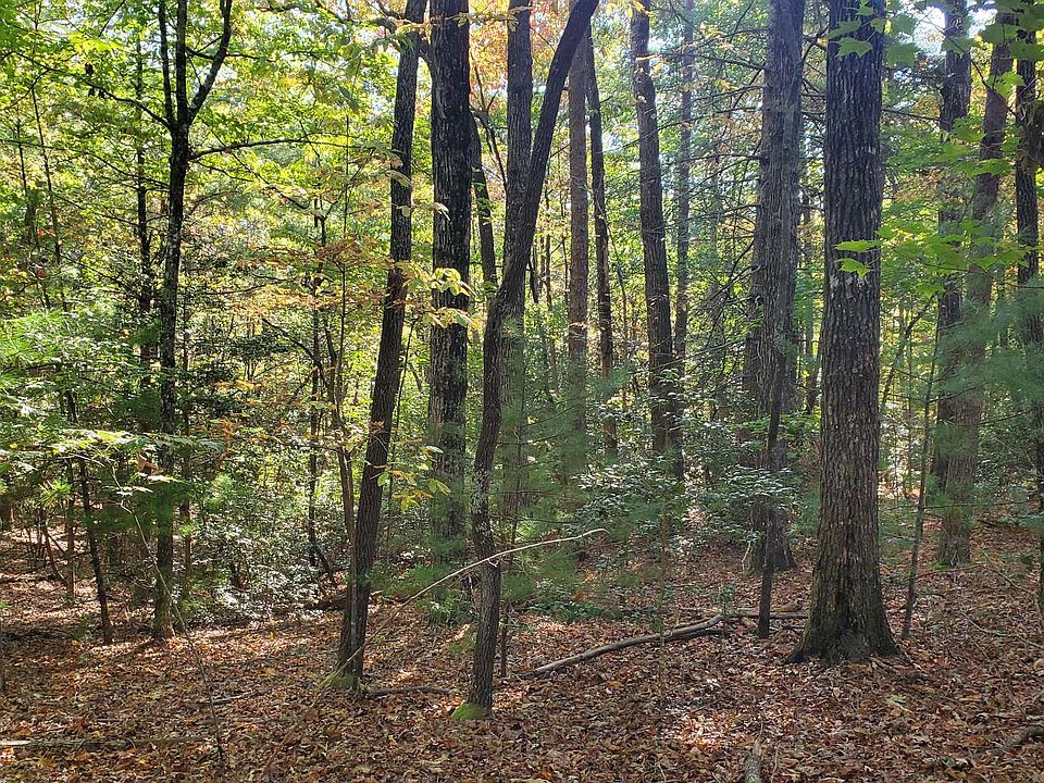 2nd image of 4 Squirrel Hunting Rd