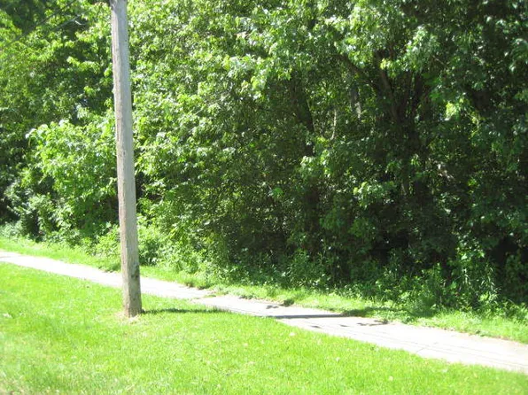 LOT N School St #B, Braidwood, IL 60408