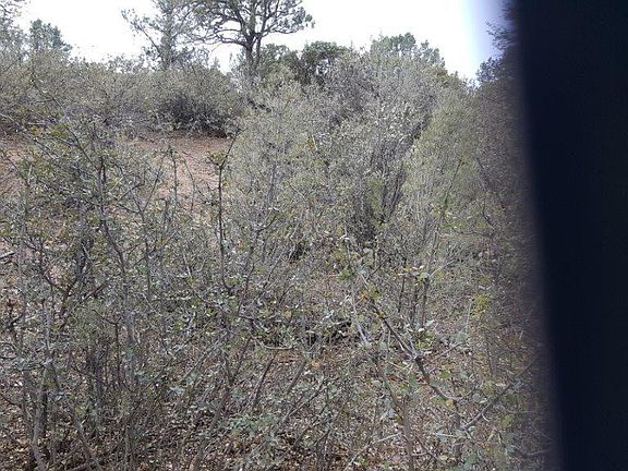 2nd image of 2503 E Scenic Dr