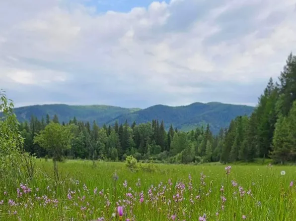 214 Aspen Ln, Columbia Falls, MT 59912