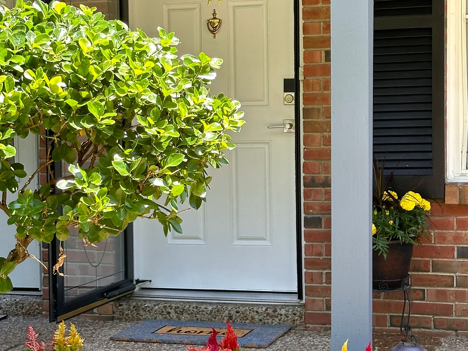 3 bed, 1382 sqft, $2,400 — Photo 3