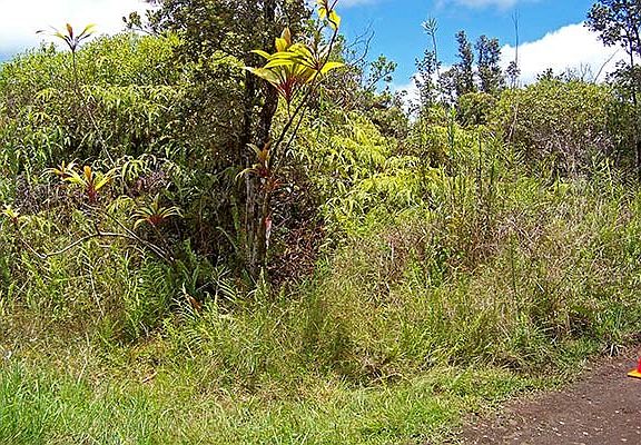 2nd image of Road 7 Opeapea Lot 4539