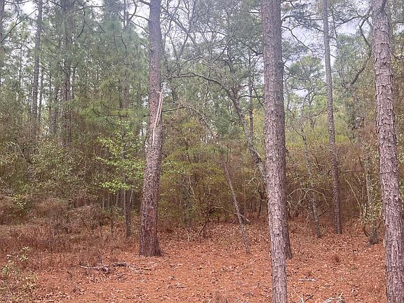 5th image of 0 Edisto Lake Rd