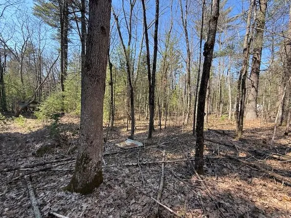 Vl S Pershing Rd, Baldwin, MI 49304