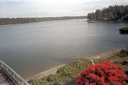 5th image of 181 E Franjo Beach Dr