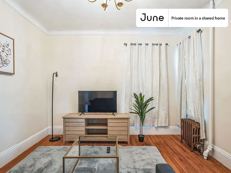 53 Sycamore St #B — Photo 10