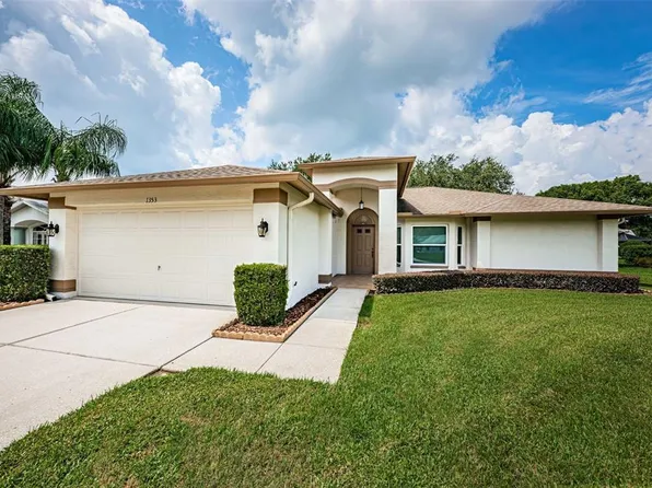 1353 Fallowfield Dr, Trinity, FL 34655