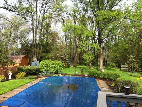 Backyard / pool view