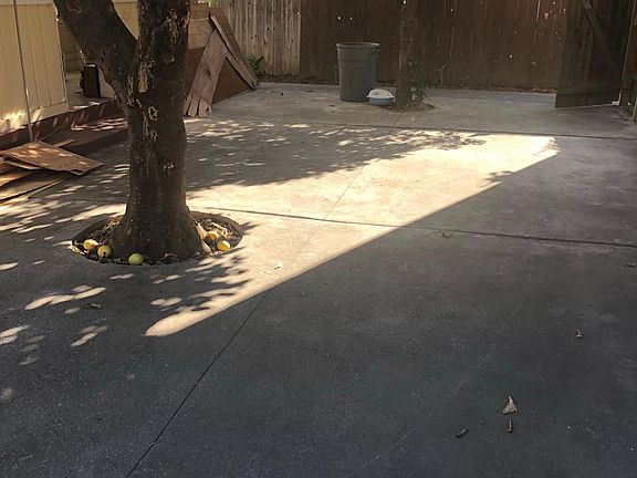 5th image of 1356 Gundry Ave