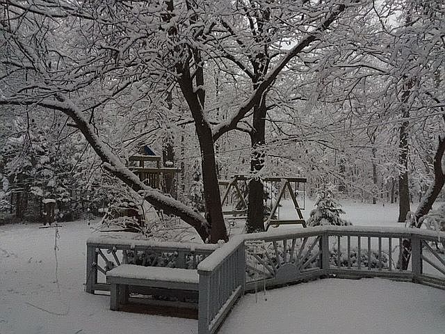 Backyard winter time