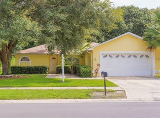 24423 Painter Dr, Land O Lakes, FL 34639