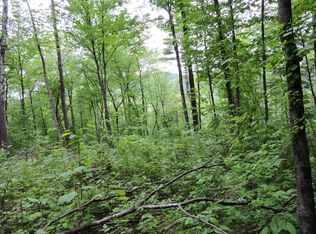 380 Briggs Rd, Guilford, VT 05301