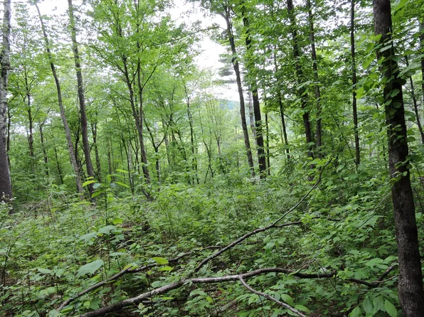 380 Briggs Rd, Guilford, VT 05301