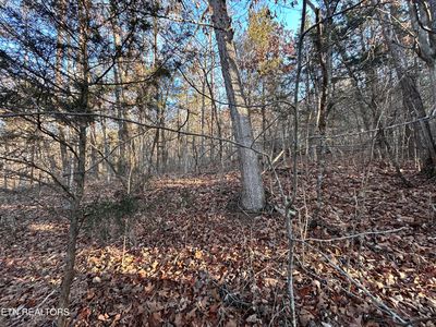 N White Pine Rd, Talbott, TN, 37877