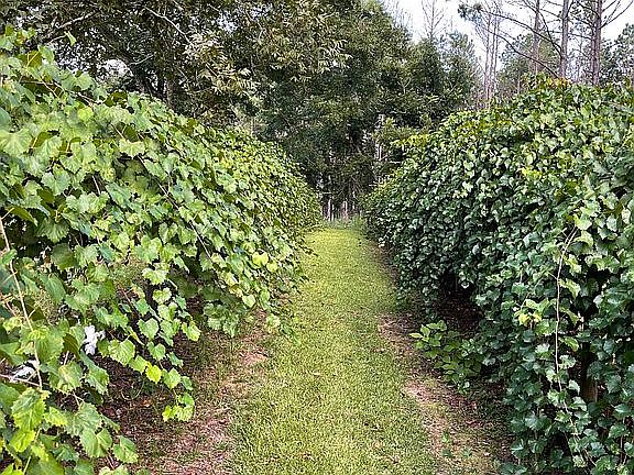4th image of 1055 County Road 9