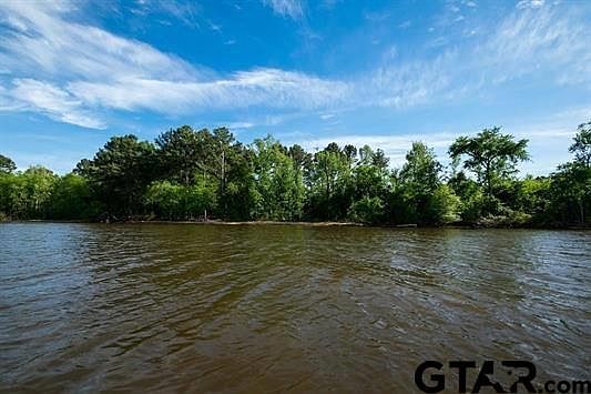 2nd image of 11727 Thousand Pines Cir