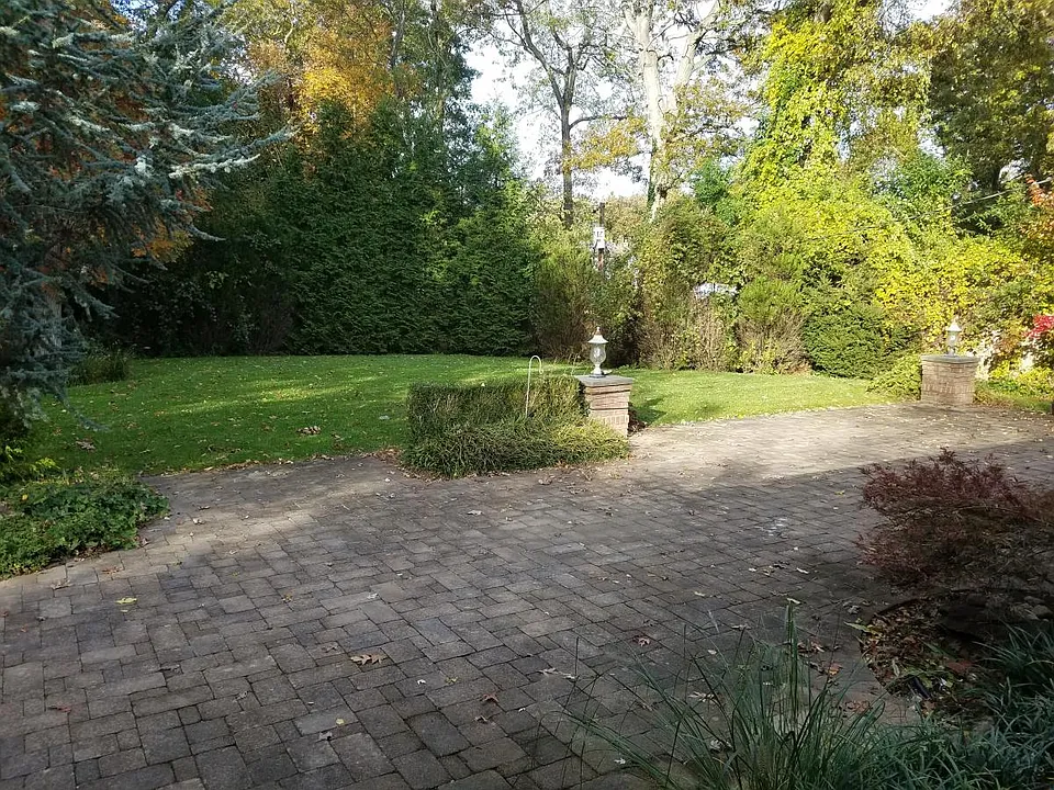 beautiful backyard