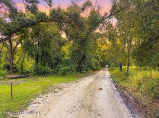 0 Lucilles Shady Ln, Nobleton, FL 34661