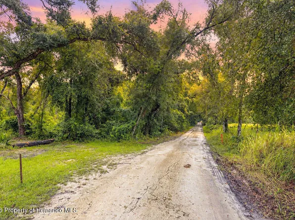 0 Lucilles Shady Ln, Nobleton, FL 34661