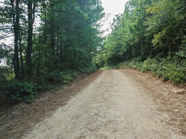 (undisclosed Address), Bonnerdale, AR 71933