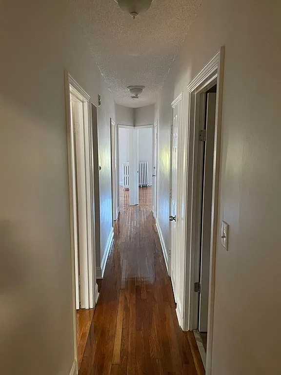 3 bed, 1.0 bath, 1000 sqft, $3,100 — Photo 4