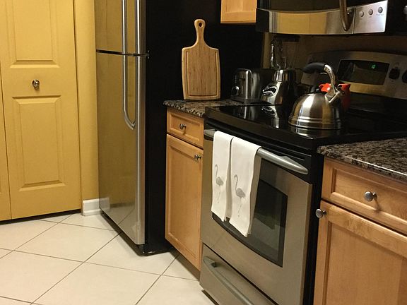 4th image of 2400 Feather Sound Dr APT 1317
