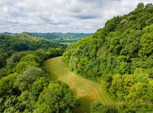 193 Dixon Ln, Pleasant Shade, TN 37145