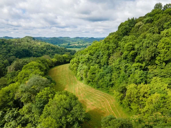 193 Dixon Ln, Pleasant Shade, TN 37145