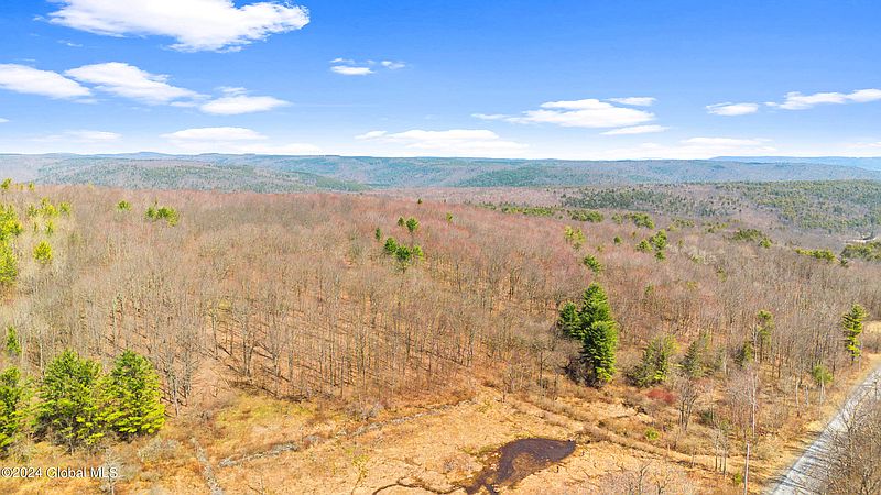 5th image of 749 Blenheim Hill Road