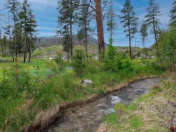 8 Roaring Lion Rd, Hamilton, MT 59840