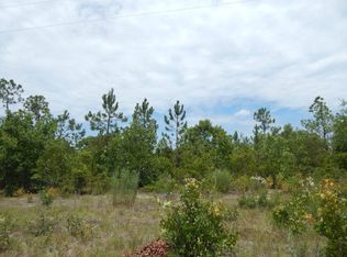 225 Bogeyville Rd, Ridge Spring, SC 29129