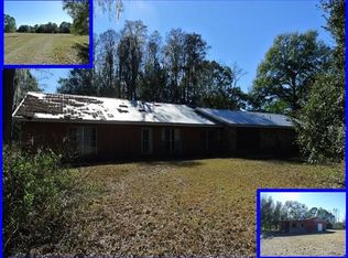 23136 Brandy Rd, Land O Lakes, FL 34639