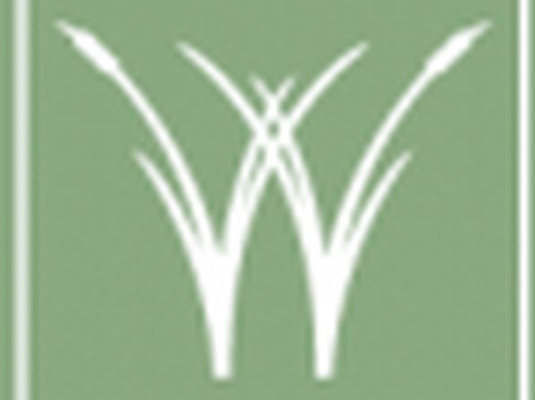 ANSLEY Plan, Waterside Villages