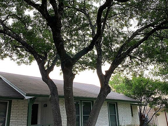 4th image of 14219 Parkhurst St