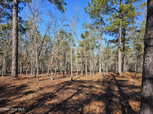 50 Abbottsford Drive, Pinehurst, NC 28374